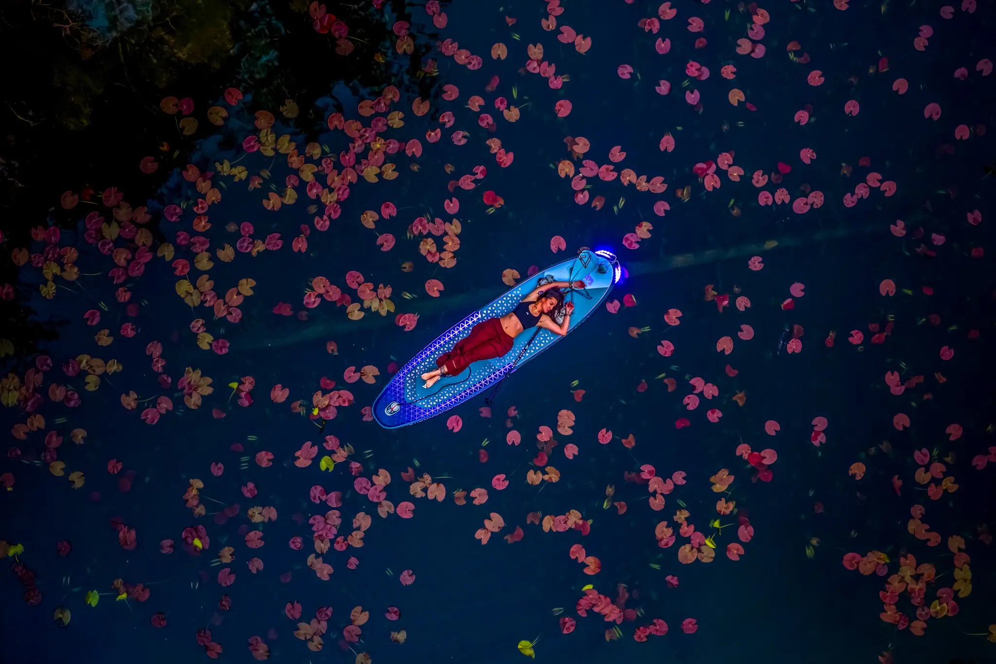 Creative top-down aerial photograph of a paddleboard among colourful water lilies by Kafetsis A. Fotis